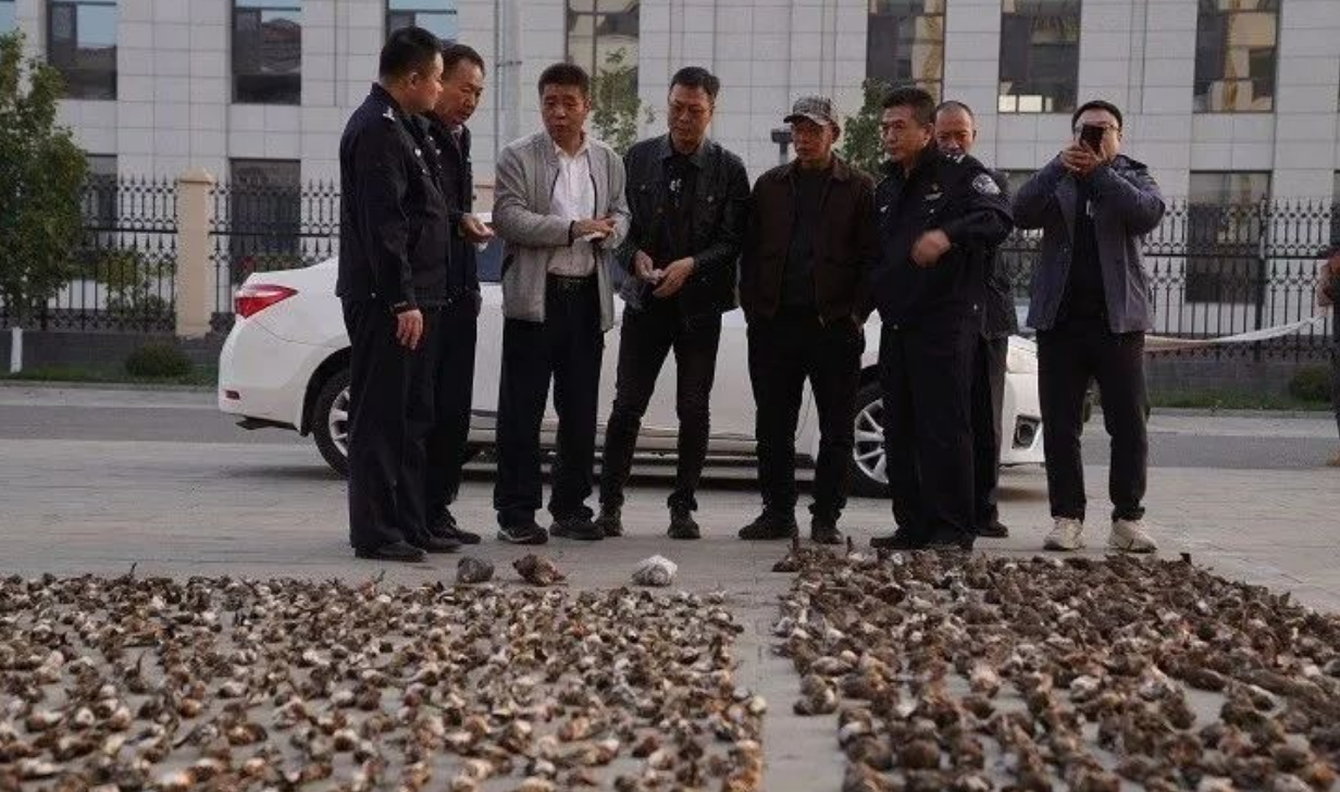 截屏2023-12-01 10.58.10.png