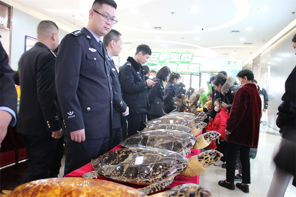 图片15.jpg